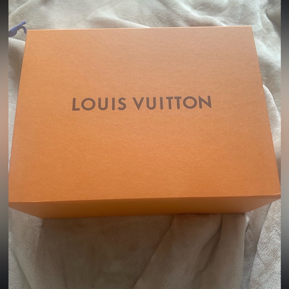 Louis Vuitton authentic boots